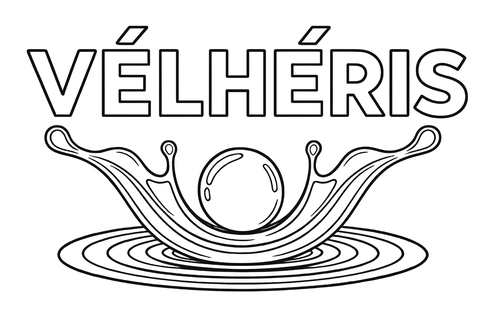 logo v noir et blanc transparent